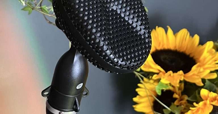 Coles 4038 Stereo Matched Pair Review 7 Close-up of a black microphone on a stand, surrounded by greenery and sunflowers, set against a muted background.